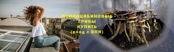 МДПВ Сатка